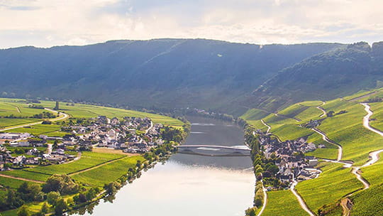 The Moselle River near Cochem and Bremm surrounded by vineyard, Germany